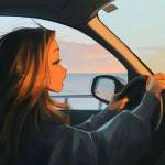 Shimmy Şimi Profile Picture