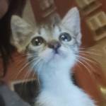 Asli <3 Profile Picture