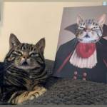 teufelsberg Profile Picture