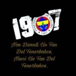 Metehan Çetin Profile Picture