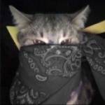 Hasan Çaylıoğlu Profile Picture