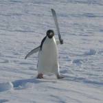 Yiğit Kavak Profile Picture