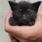 Fatma Nur Kaya Profile Picture