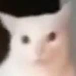 denz_ Profile Picture