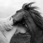 Sla344 Profile Picture