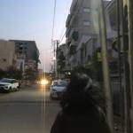 Eylul Profile Picture