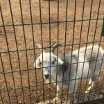 Cemre Uygur Profile Picture