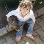 sariciyan Profile Picture